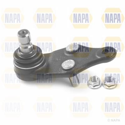 Genuine NAPA Ball Joint (Inc Fit) for Kia 5430C5100 Napa  - Dynamic Drive