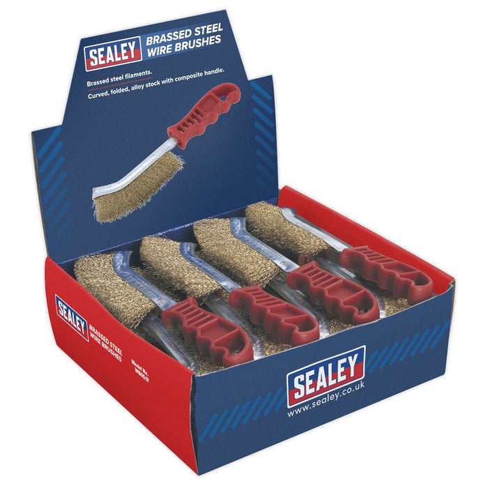 Sealey Wire Brush Brassed Steel Plastic Handle Display Box of 24 WB05DB24 Sealey  - Dynamic Drive