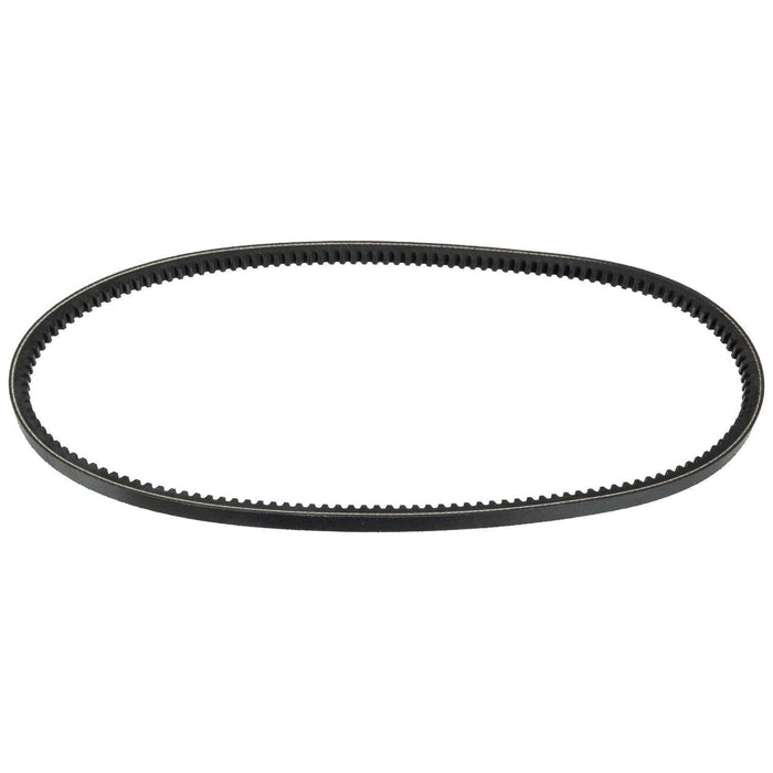 Blue Print AD13V975 Drive Belt