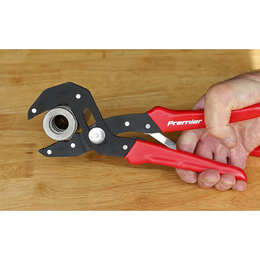 Sealey Pliers Multi-Grip Self-Adjusting 250mm AK8536 Sealey  - Dynamic Drive