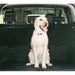 fits Toyota Land Cruiser V8 Car Headrest Black Mesh Dog Guard by UKB4C UKB4C  - Dynamic Drive