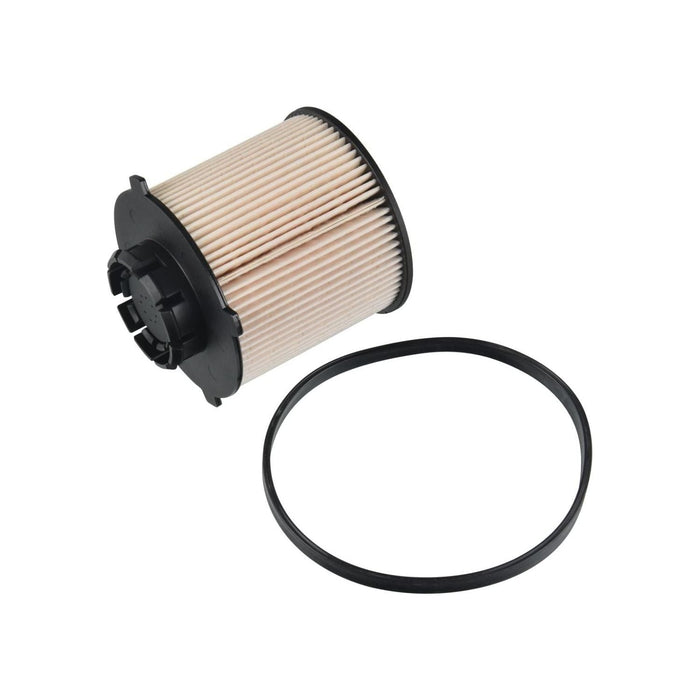 Blue Print ADG02369 Fuel Filter