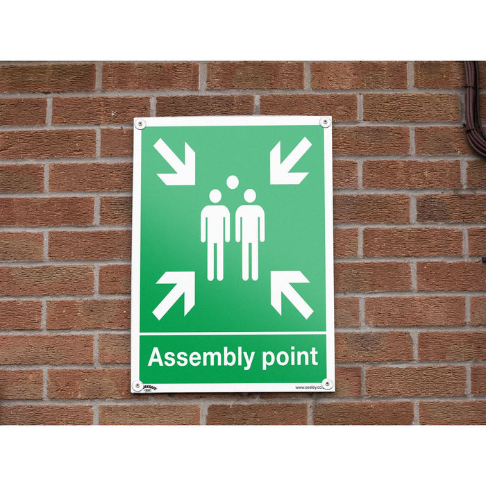 Sealey Safe Conditions Safety Sign Assembly Point Rigid Plastic SS37P1 Sealey  - Dynamic Drive