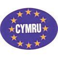 MDS1203 W4 Oval Euro CYMRU Sticker 37145 W4  - Dynamic Drive