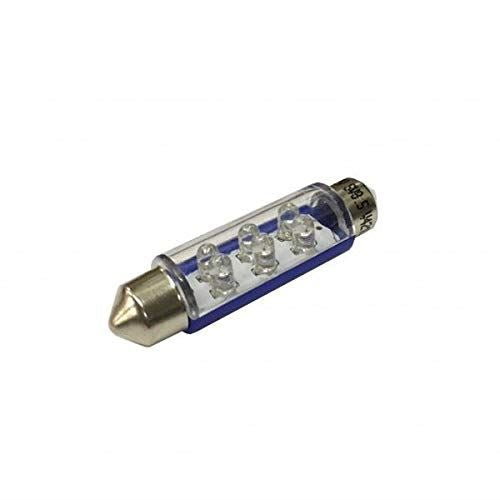 Autolamps LED Bulb - 12V SV8.5 6-LED -  Blue Autoinparts  - Dynamic Drive