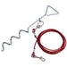 Quest Pet anchor with 4M lead a2038 Quest  - Dynamic Drive