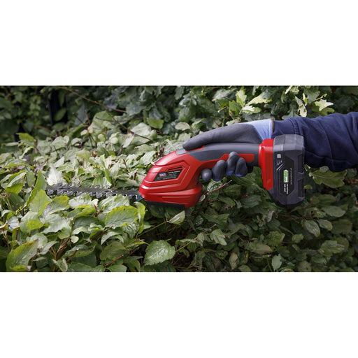 Sealey 2 x SV20 Series Cordless Gardening/Pruning Combo Kit 20V - 2 Batteries Sealey  - Dynamic Drive