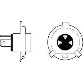 Genuine Valeo fits H4 Bulb Cardboard Essential Valeo  - Dynamic Drive