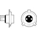 Genuine Valeo fits H4 Bulb Cardboard Essential Valeo  - Dynamic Drive