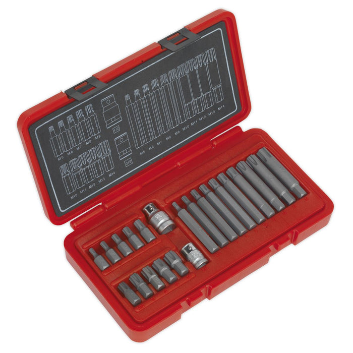 Sealey Ribe Bit Set 22Pc 3/8Inch & 1/2Inchsq Drive