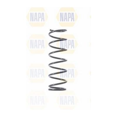 Genuine NAPA Coil Spring Front for Toyota 4813117690 Napa  - Dynamic Drive