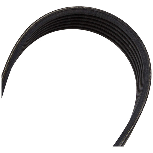 Genuine Continental ContiTech Drive Belt 6PK1613 ContiTech  - Dynamic Drive