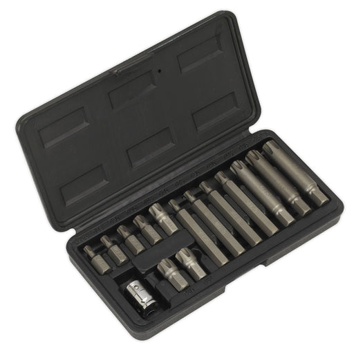 Sealey Ribe Bit & Holder Set 15pc 3/8"Sq Drive S0871 Siegen by Sealey  - Dynamic Drive