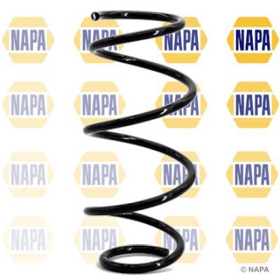 Genuine NAPA Coil Spring Front for Nissan 540109U00A Napa  - Dynamic Drive