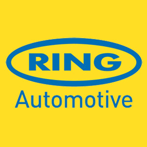 Ring R239 C5W Festoon Car Number Plate Interior Light Bulb 239 12v 5w 11x38mm