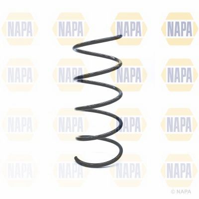 Genuine NAPA Coil Spring Front for Mercedes-Benz 2033214304 Napa  - Dynamic Drive