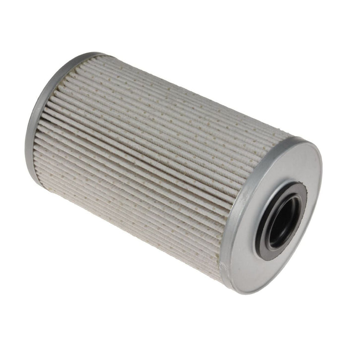 Blue Print ADN12339 Fuel Filter