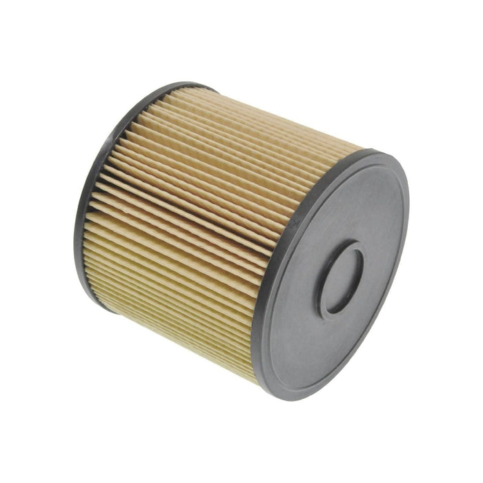 Blue Print ADC42360 Fuel Filter