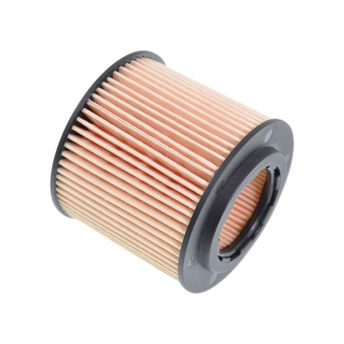 Blue Print ADV182101 Oil Filter