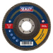 Sealey 115mm Aluminium Oxide Flap Discs 120Grit 22mm Bore - Pack of 10 Sealey  - Dynamic Drive