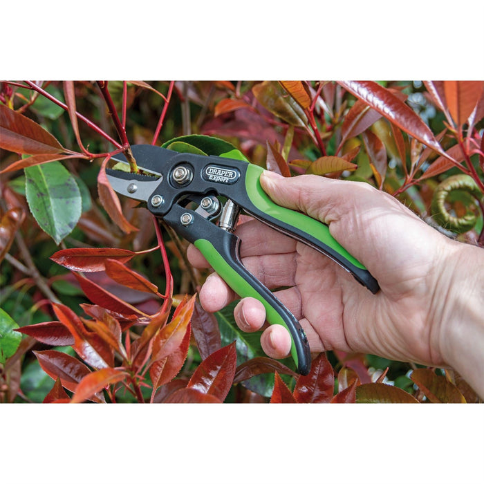 Draper Anvil Pattern Secateurs, 200mm 94983