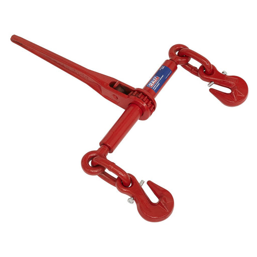 Sealey Ratchet Load Binder 9.5-12.7mm 4200kg Capacity LB002 Sealey  - Dynamic Drive