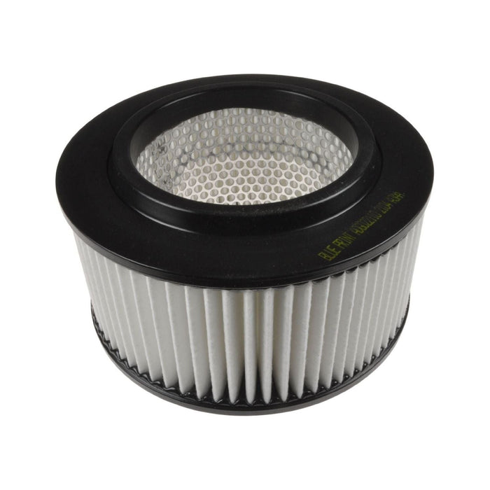 Blue Print ADG022110 Air Filter Fits Kia