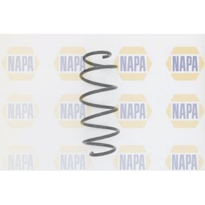 Genuine NAPA Coil Spring Front for Ford 1127024 Napa  - Dynamic Drive