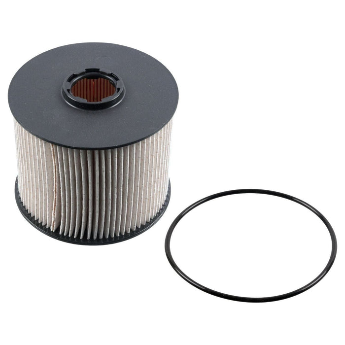 Blue Print ADP152305 Fuel Filter