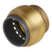 Sealey SharkBiteï Line End Plug22mm SBA22P Sealey  - Dynamic Drive