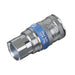 COUPLING BODY FEMALE 3/8inchBSP PCL  - Dynamic Drive