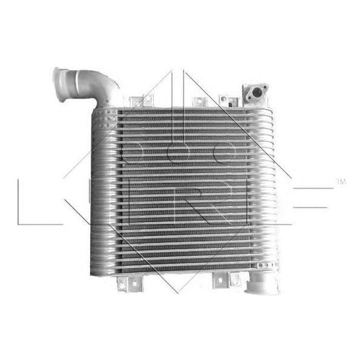 NRF Intercooler 30331 NRF  - Dynamic Drive