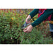 Silverline Bypass Secateurs 200mm Silverline  - Dynamic Drive