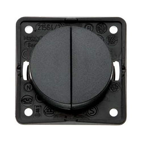 Berker 12V Twin Switch Rocker Anthracite 21236A W4 - Dynamic Drive