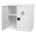 Sealey Acid/Alkali Substance Cabinet 900 x 460 x 900mm FSC16 Sealey  - Dynamic Drive