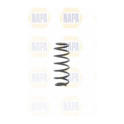 Genuine NAPA Coil Spring Rear for Smart 4513240304 Napa  - Dynamic Drive