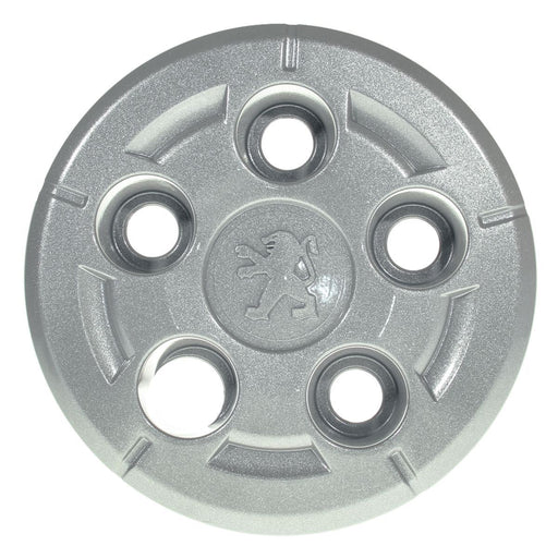 Hub Caps for Peugeot Boxer Centre Cap 2007 Onwards for Caravan/Motorhomes Nova  - Dynamic Drive