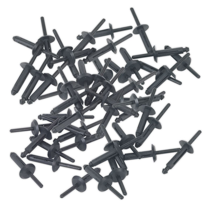 Sealey Plastic Rivet6.3 x 25.2mm Pack of 50 PR002 Sealey  - Dynamic Drive