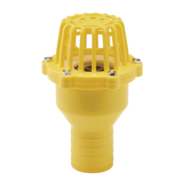 Draper Foot Valve Strainer, 50mm/2" 19548 Draper  - Dynamic Drive