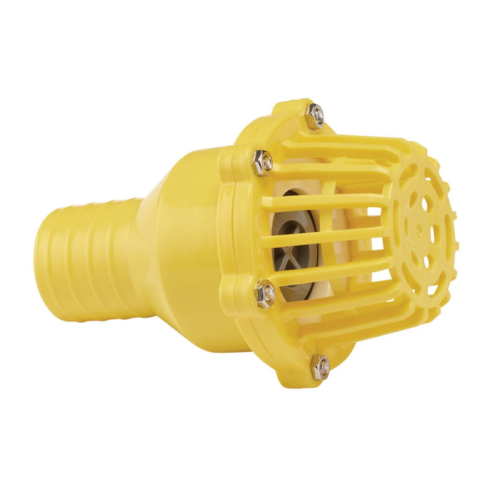 Draper Foot Valve Strainer, 50mm/2" 19548 Draper  - Dynamic Drive