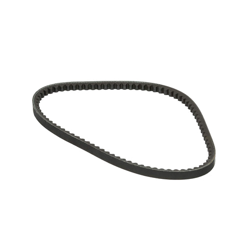 Genuine Continental ContiTech Drive Belt 11.9X772 ContiTech  - Dynamic Drive