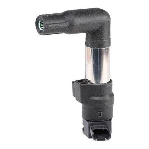 Beru AG 0040100383 Ignition Coil