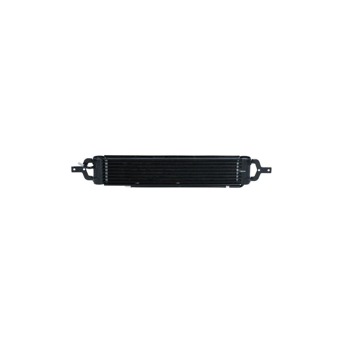 NRF Oil Cooler 31809 NRF  - Dynamic Drive