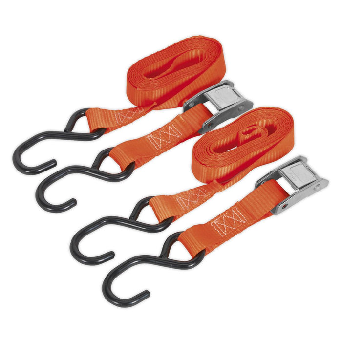 Sealey Cam Buckle Tie Down 25mm x 2.5m Polyester Webbing with S-Hooks 500kg Brea