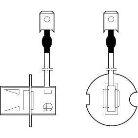 Genuine Valeo fits H3 Bulb Cardboard Essential Valeo  - Dynamic Drive