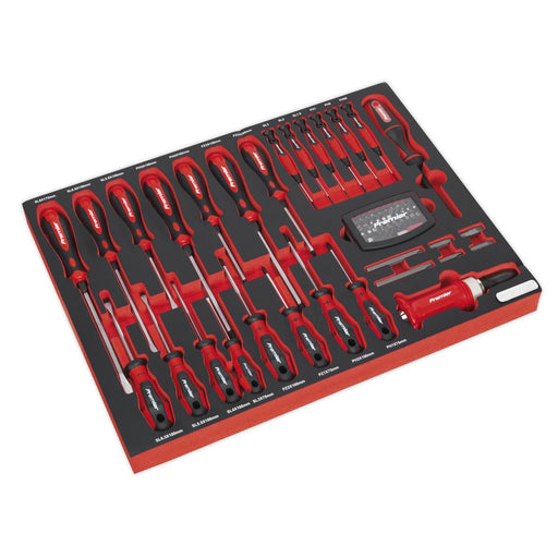 Sealey Tool Tray with Screwdriver Set 72pc TBTP04 Sealey  - Dynamic Drive