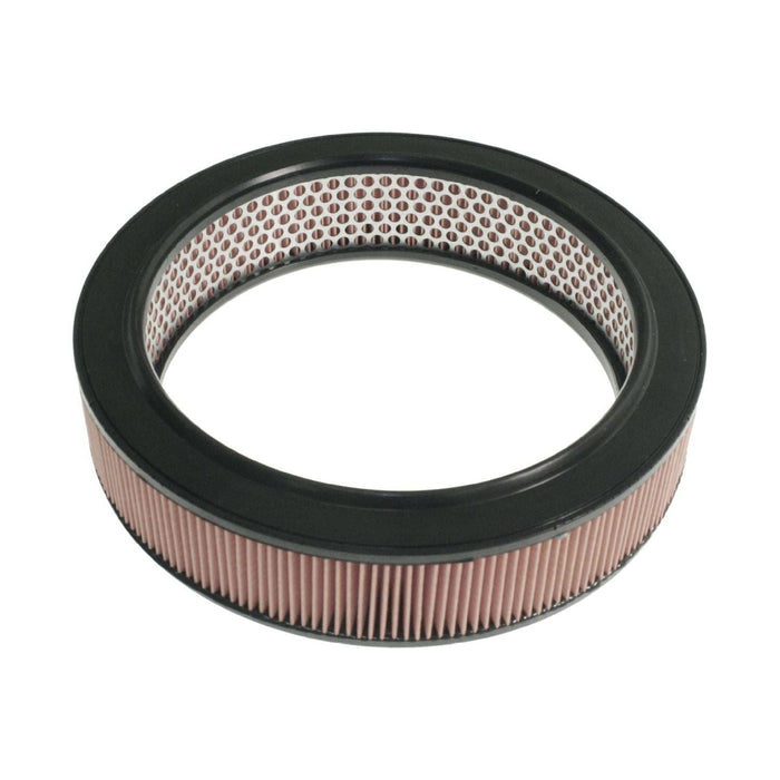 Blue Print ADN12263 Air Filter