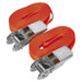 Sealey Self-Securing Ratchet Tie Down 25mm x 4.5m 800kg Breaking Strength Pair Sealey  - Dynamic Drive