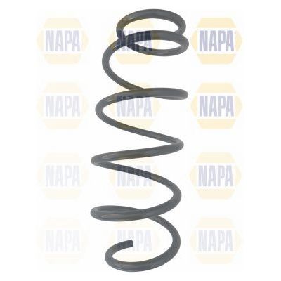 Genuine NAPA Coil Spring Front for Opel Vauxhall 312262 Napa  - Dynamic Drive