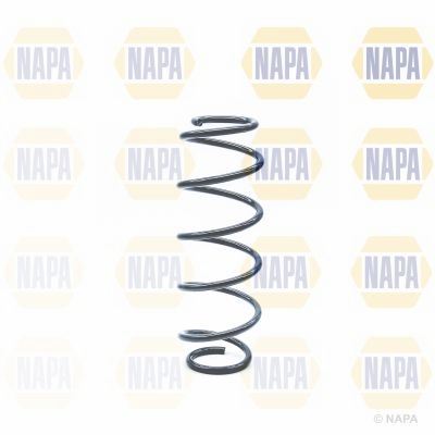 Genuine NAPA Coil Spring Rear for Mercedes-Benz 1693241804 Napa  - Dynamic Drive